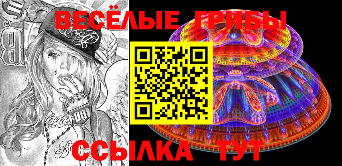 Псилоцибиновые грибы MAGIC MUSHROOMS Шахты